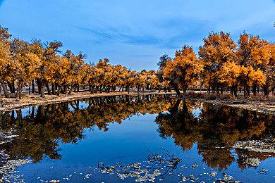 网易多款游戏出现网络故障 官方回应用干冰修好服务器